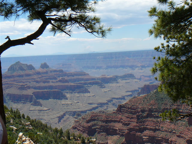 images/Hiking North Rim  to Bright Angel Point (2).jpg